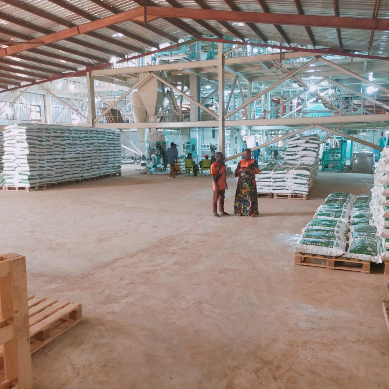 Feed production line